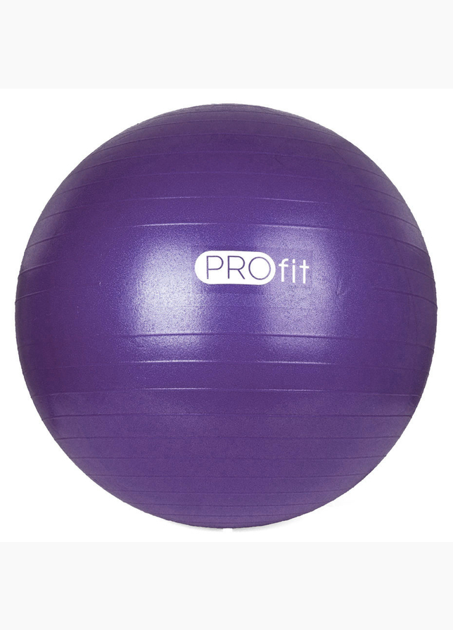 Profit Gymnastikball mit Luftpumpe 55 cm DK 2102 1 Profit Gymnastikball mit Luftpumpe 55 cm DK 2102 1