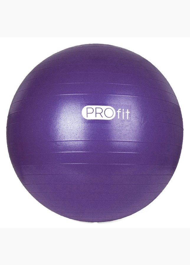 Profit Gymnastikball mit Luftpumpe 65 cm DK 2102 1 Profit Gymnastikball mit Luftpumpe 65 cm DK 2102 1