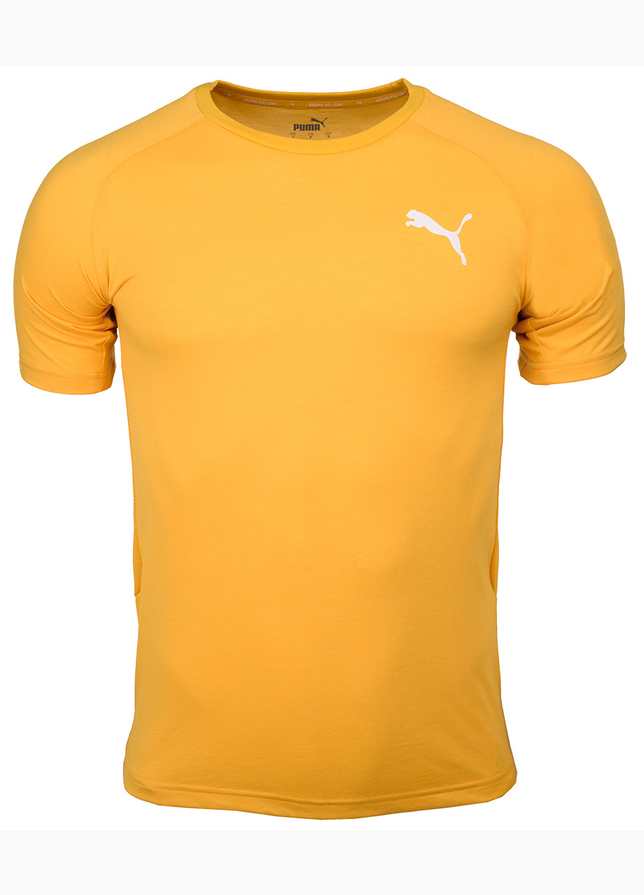 Puma Herren T-Shirt Evostripe Lite Tee 581534 25 Puma Herren T-Shirt Evostripe Lite Tee 581534 25