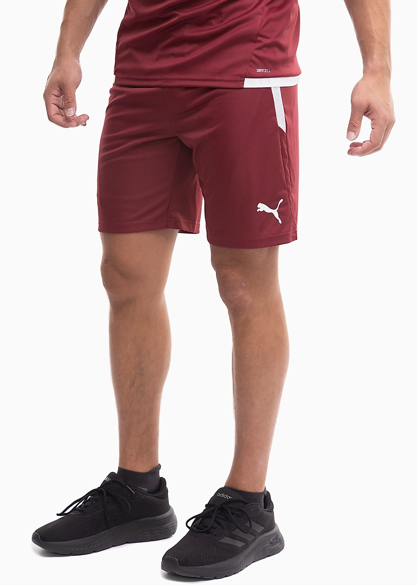 Herren Sporthose Puma teamLIGA 704924 09