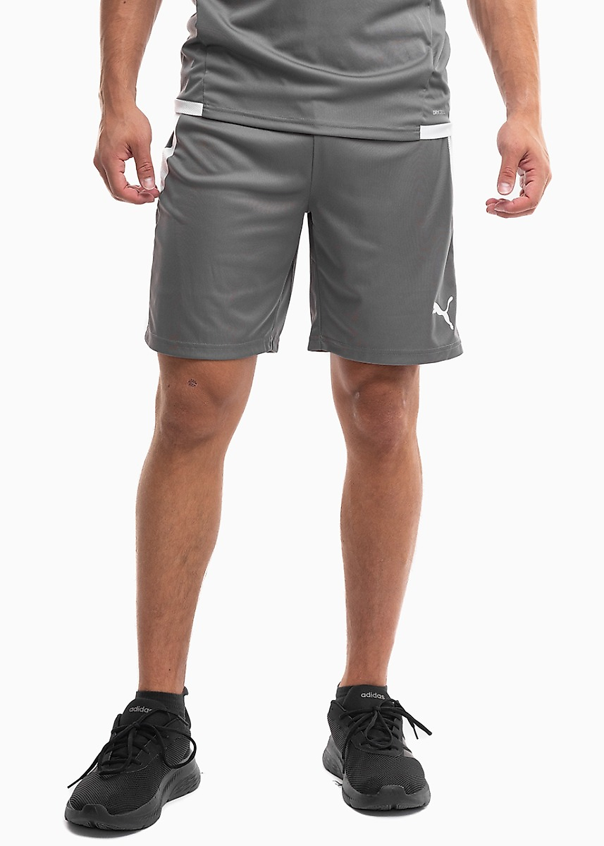 Herren Sporthose Puma teamLIGA 704924 13